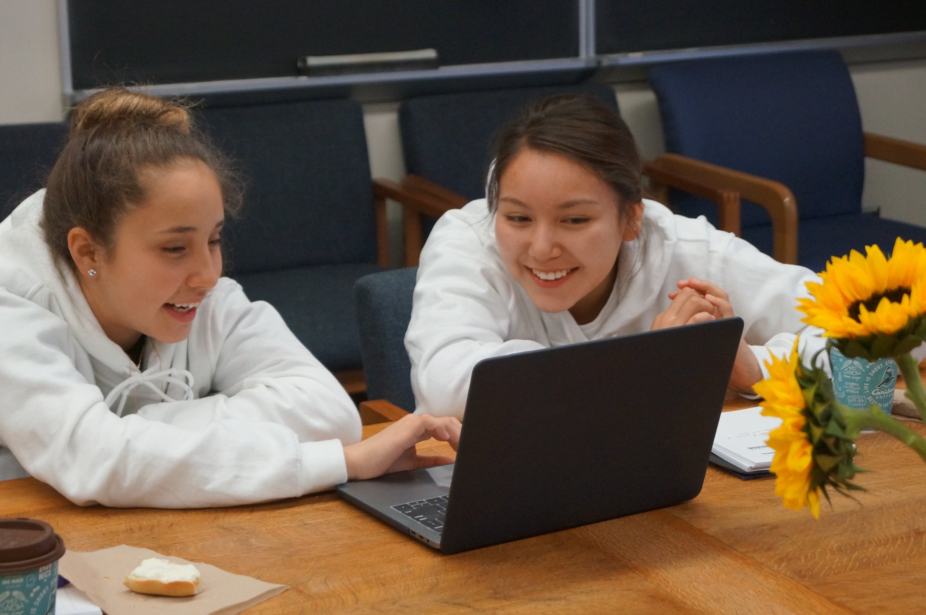 Students engage in citizen science research via zooniverse.org, March 2019